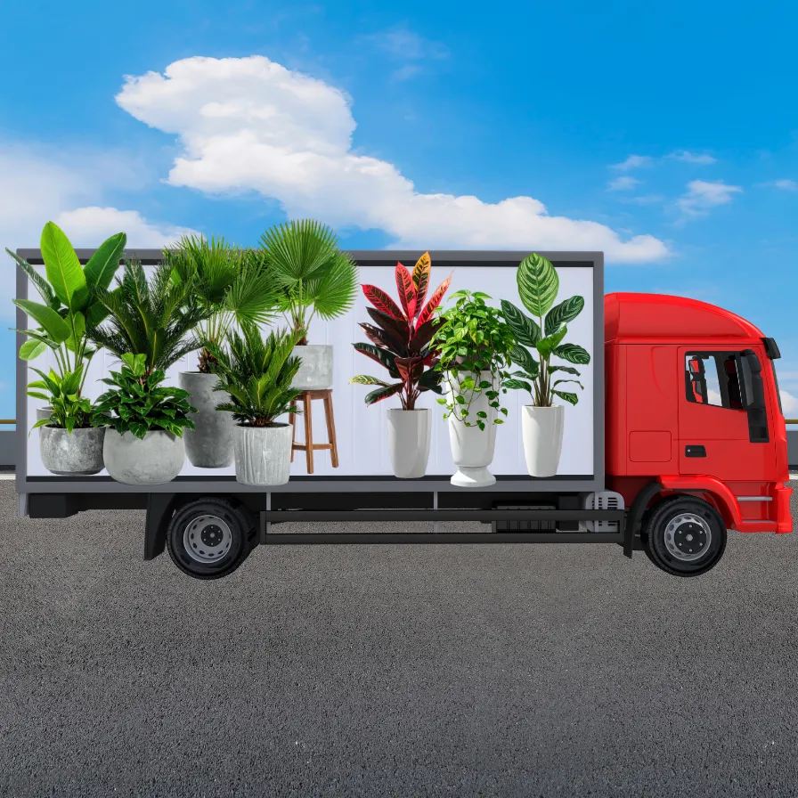 transporte de plantasFondo